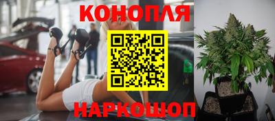 гидра Новокубанск
