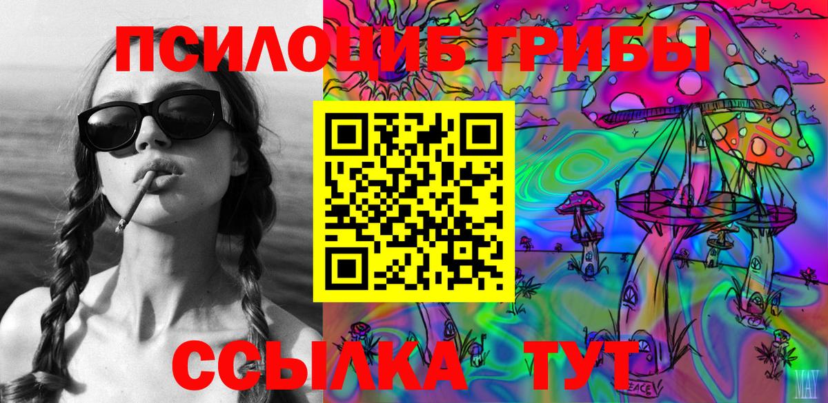 Галлюциногенные грибы прущие грибы Тайшет