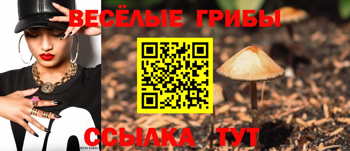 продажа наркотиков  Вход с VPN  Тайшет  Псилоцибиновые грибы мухоморы  Псилоцибиновые грибы Cubensis 